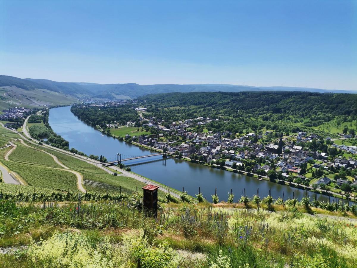 Sonnenufer Apartment & Moselwein I Bernkastel-Kues Zewnętrze zdjęcie